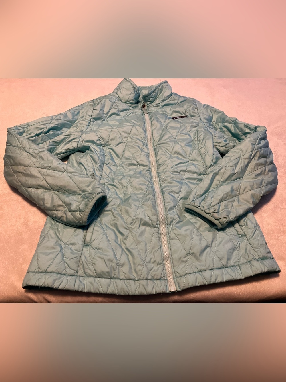 Patagonia Light Blue Quilted Zip-Up Jacket